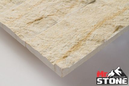 limestone-sly-vein-cut-8x22-detaliu